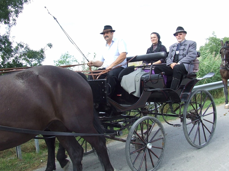 DSCF9973 (Medium).JPG